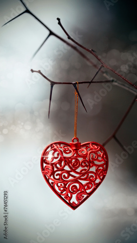 Red heart on prickly branches.