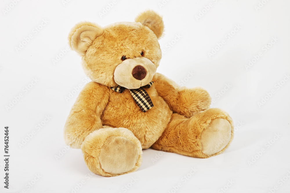 Obraz premium Teddy bear