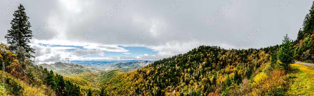 Sunny Panorama from Lookout on Blue Ridge Parkway