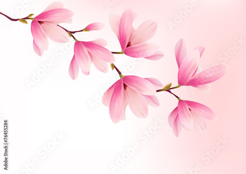 Valentine background with pink flowers. Vector. © ecco