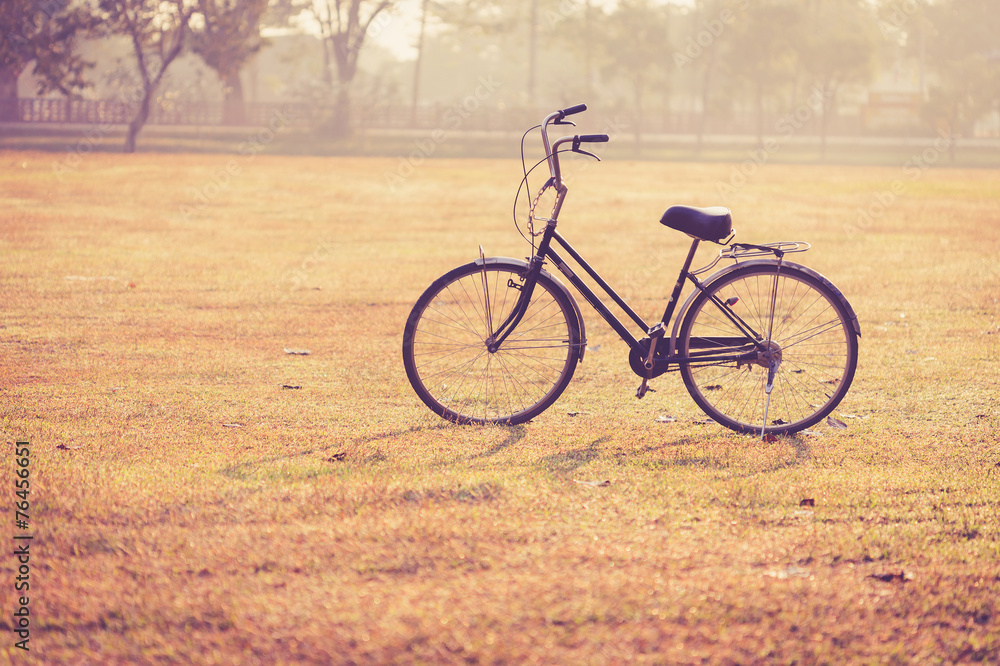 Fototapeta premium Vintage bicycle in Sukhothai Historical Park, Thailand