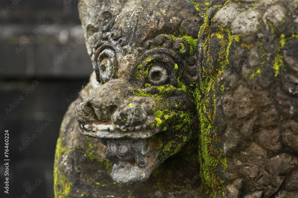 Green Moss Growing on Hanuman Statue