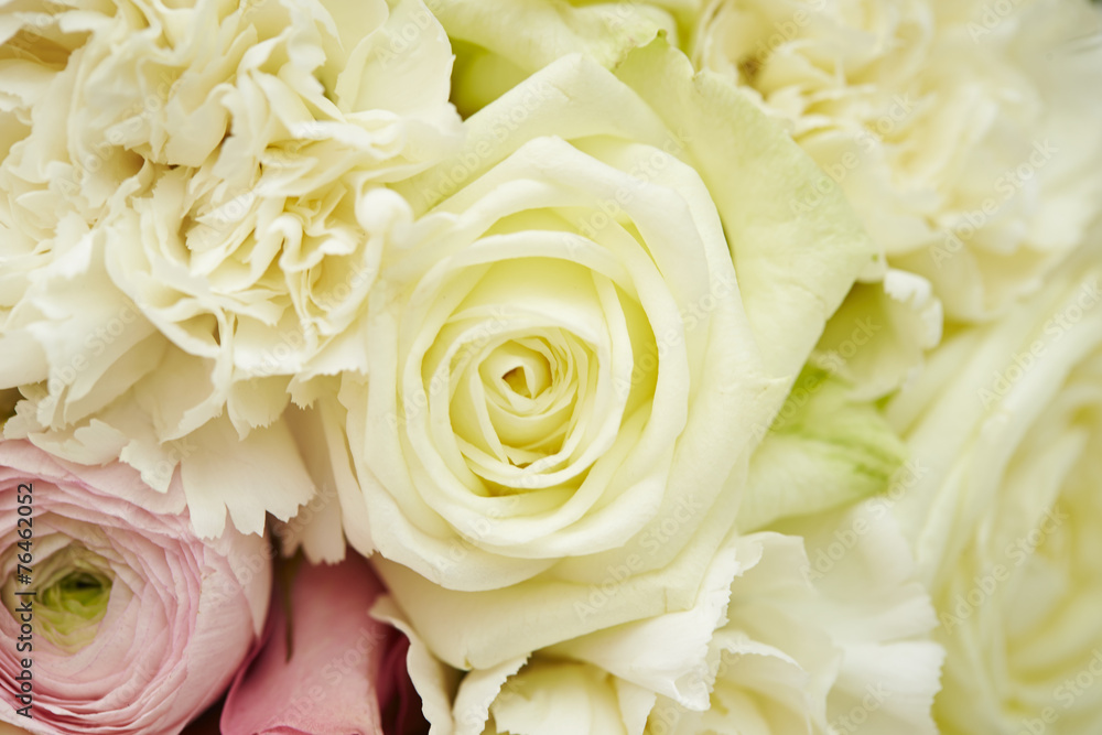 Fototapeta premium Flowers