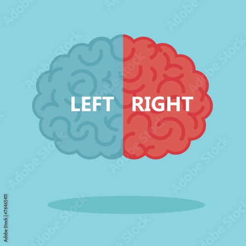 Left & right human brain illustration