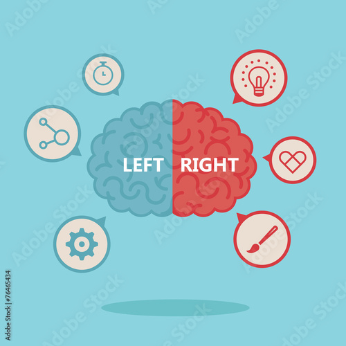 Left & right human brain illustration