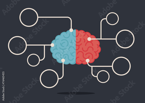 Left & right human brain illustration