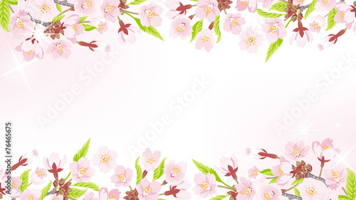 Cherry Blossom background-frame