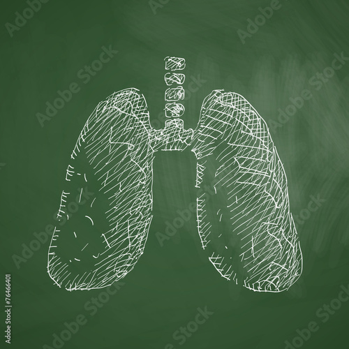 lung icon