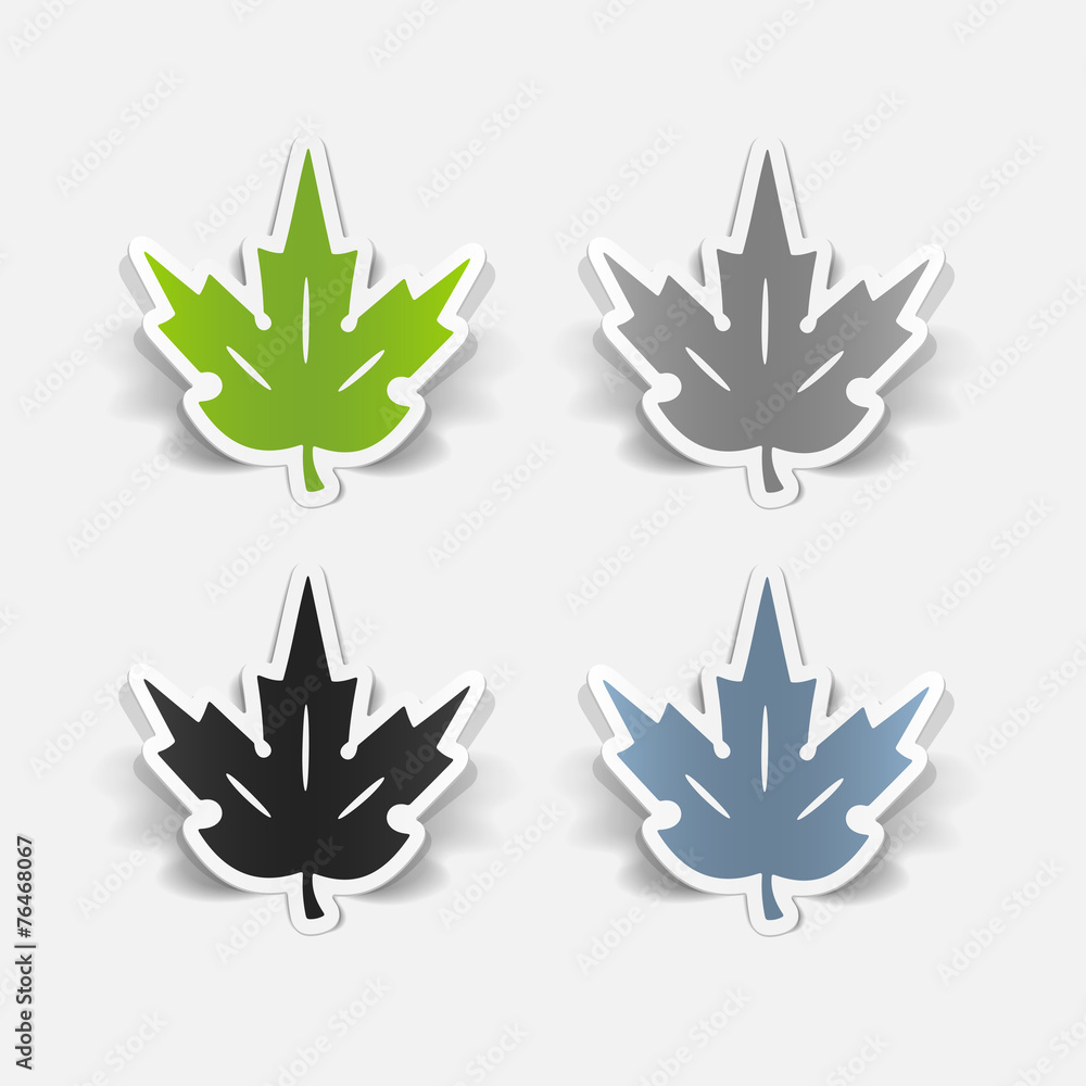 realistic design element: leaf realistic design element: leaf