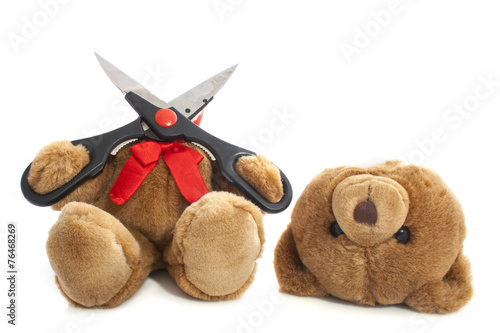 Bear cute head off