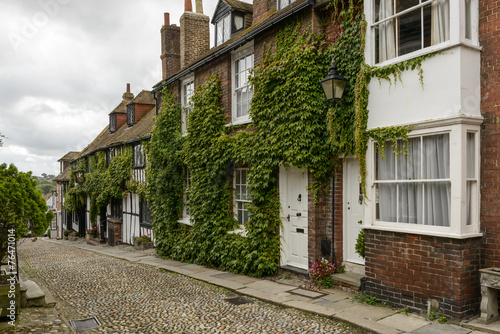 Fototapeta Naklejka Na Ścianę i Meble -  cottages, vine and cobble, Rye