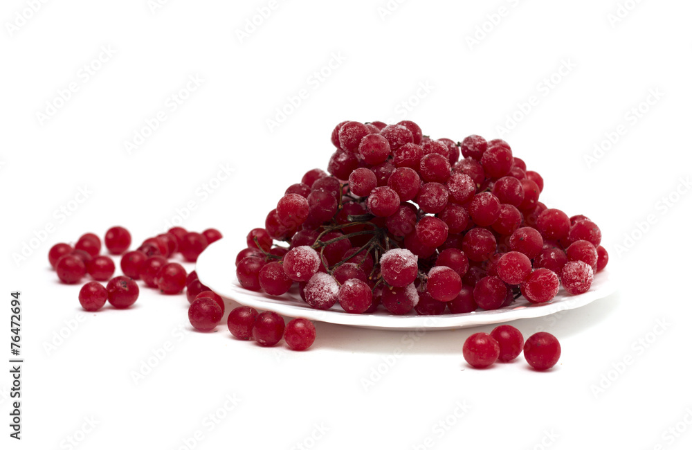 Frozen red viburnum berries on the plate. Photo. Frozen red viburnum berries on the plate. Photo.