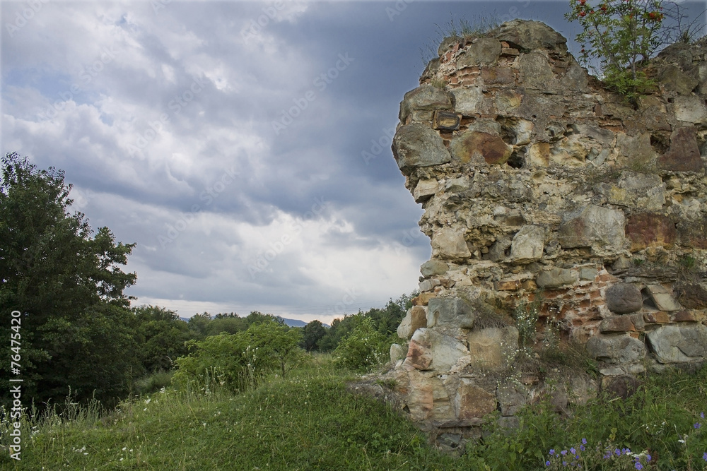ruins of an ancient Ukrainian  castle