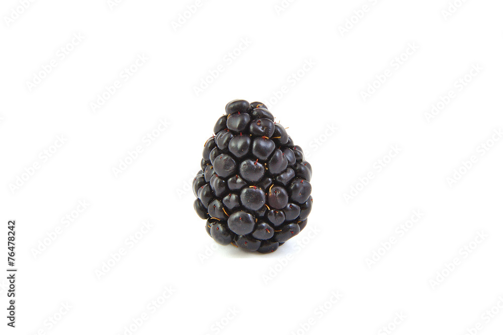 Closeup of one blackberry on white background. Closeup of one blackberry on white background.