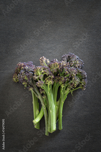 Purple Sprouting Broccoli on Dark Background