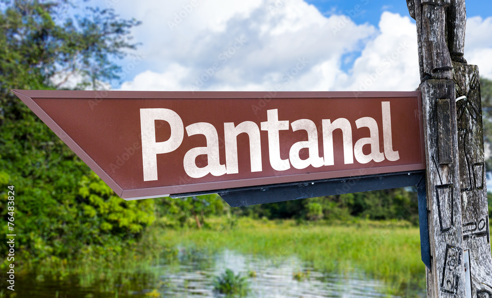 Pantanal wooden sign with a forest background