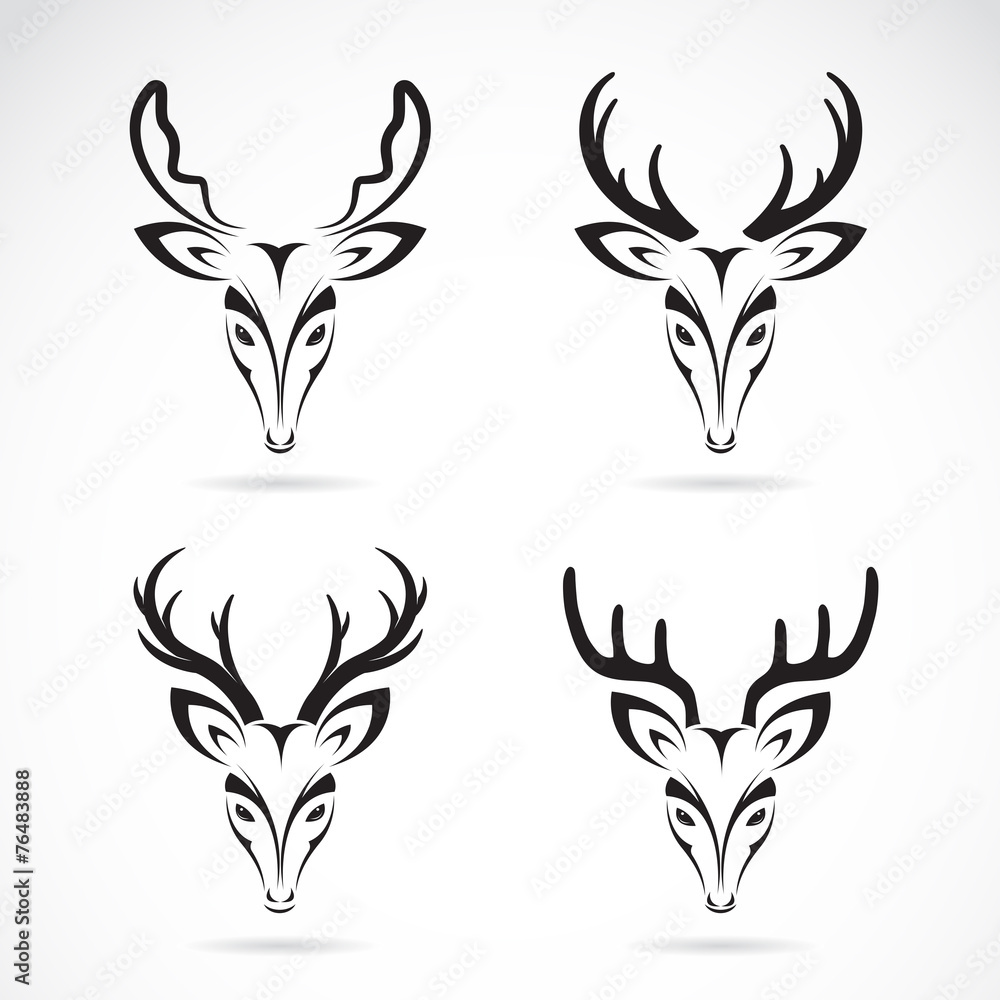 Vector group of deer head on white background. Vector group of deer head on white background.