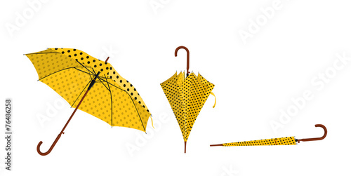 ombrello ape photo