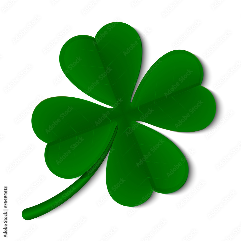 leaf clover isolated on white background leaf clover isolated on white background
