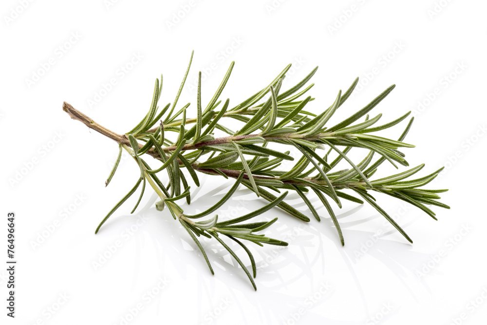 Fototapeta premium Rosemary.