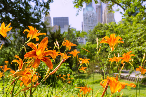 Central Park Manhattan New York US