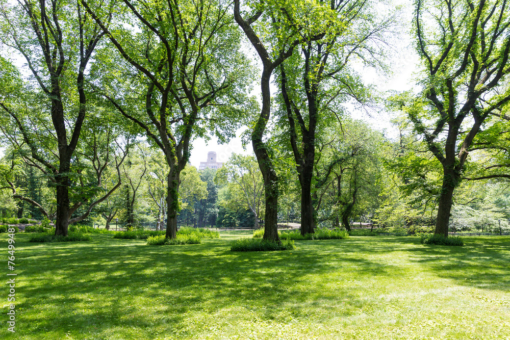 Central Park The Mall Manhattan New York