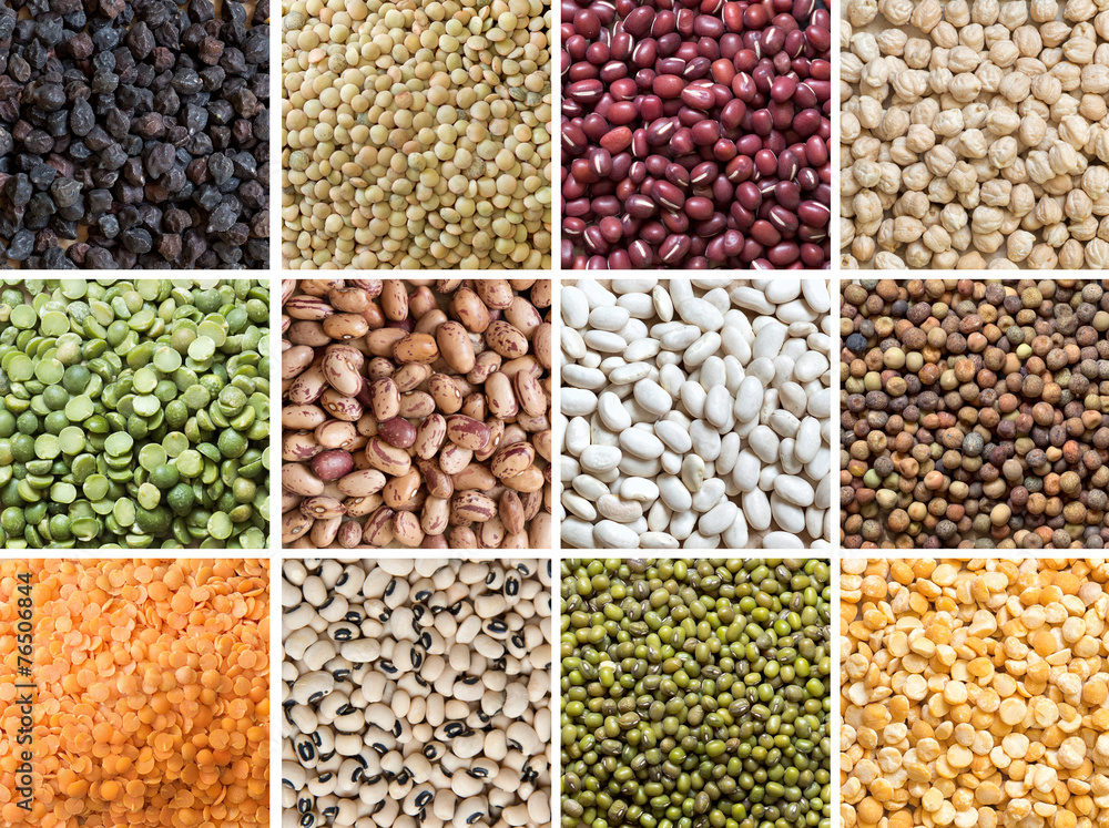 Collage of legumes Collage of legumes