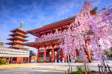 Wandcirkels Tokio Senso-ji tempel in Asakusa Tokio  © SeanPavonePhoto