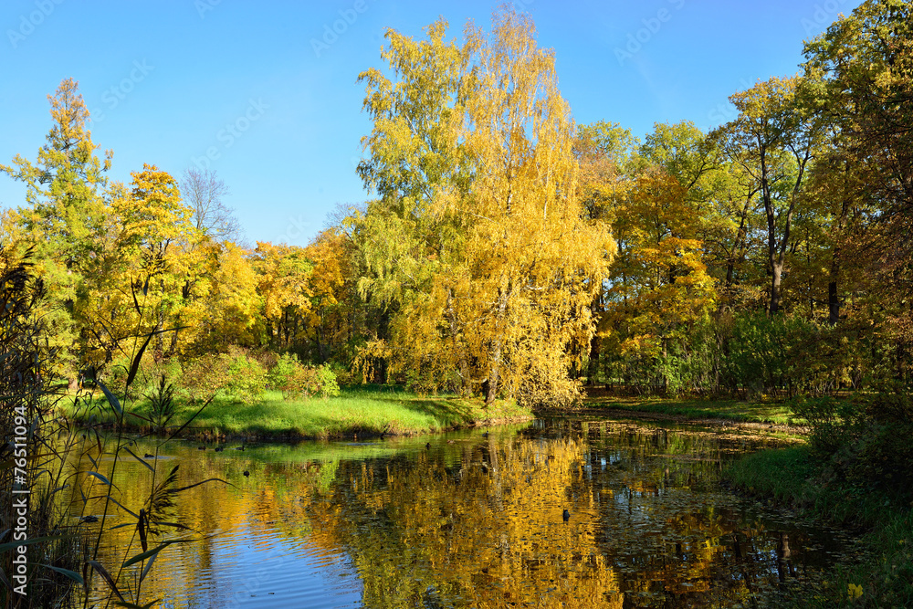 Autumn landscape with pond in Pushkin,