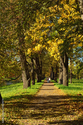 Autumn sunny landscape with   in Pushkin garden. photo