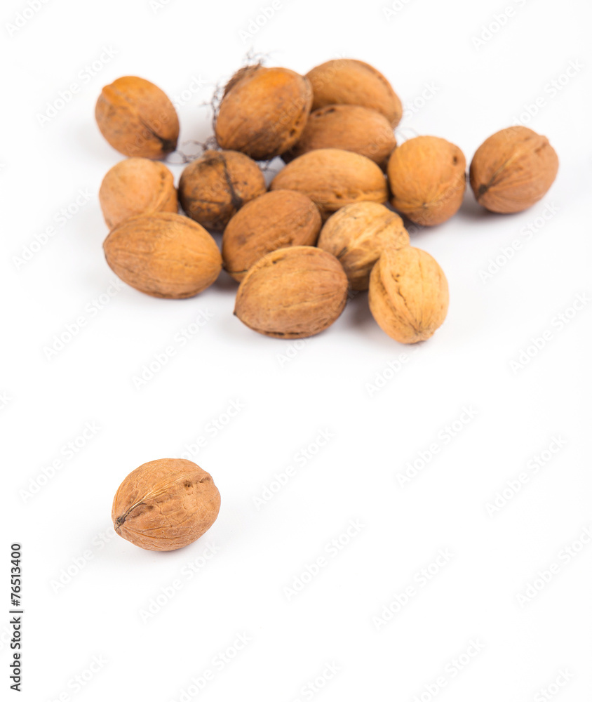 closed walnut ahead closeup on white background closed walnut ahead closeup on white background