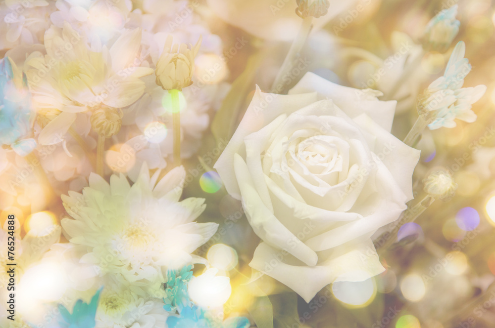 Abstract roses with bokeh background Abstract roses with bokeh background