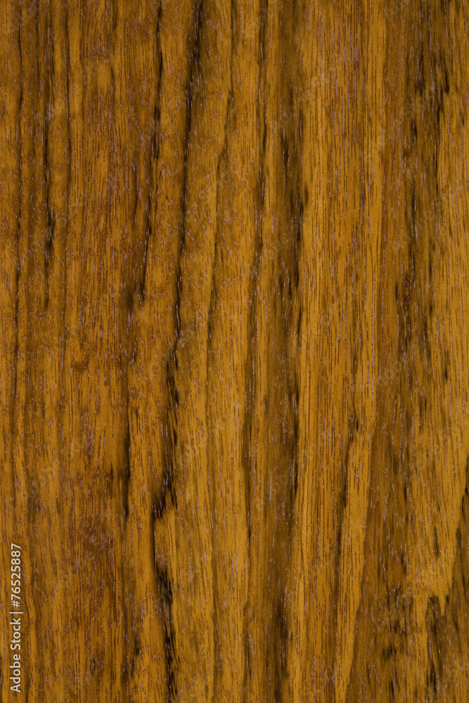 Naklejka premium オバンコールの板