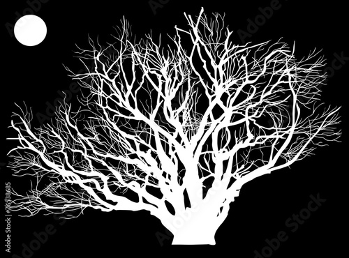 huge white tree on black background