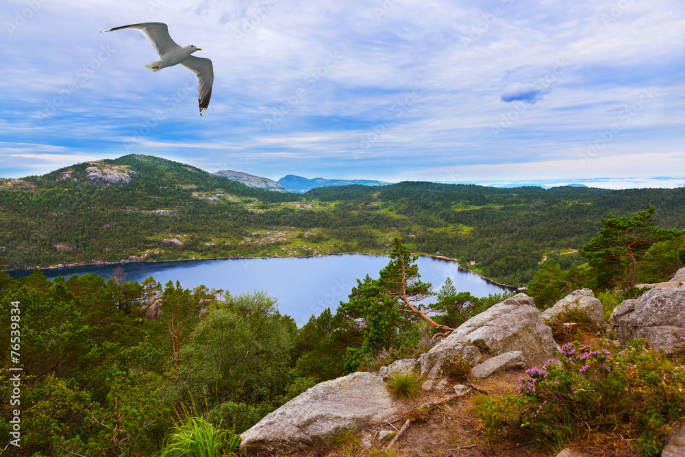 Fototapeta premium Mountains on the way to the Cliff Preikestolen in fjord Lysefjor