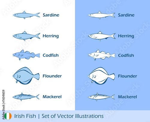 Illustrations of Irish fishes