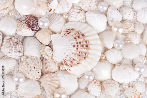 background of sea shells with pearls
