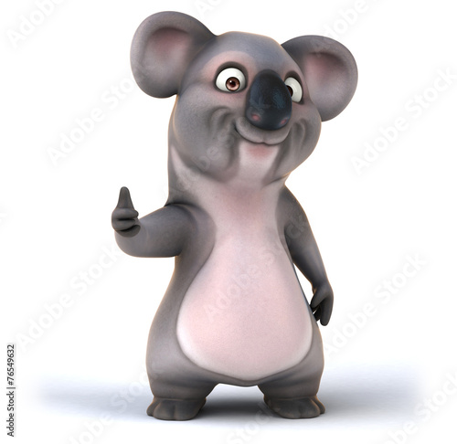 Photography Fun koala