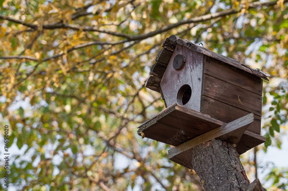 bird house on a tree bird house on a tree