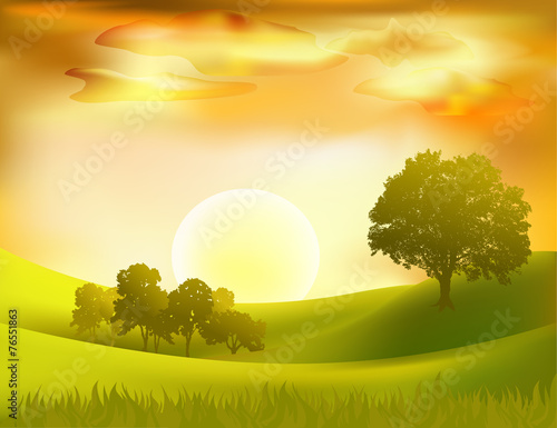 vector sunset  landscape background