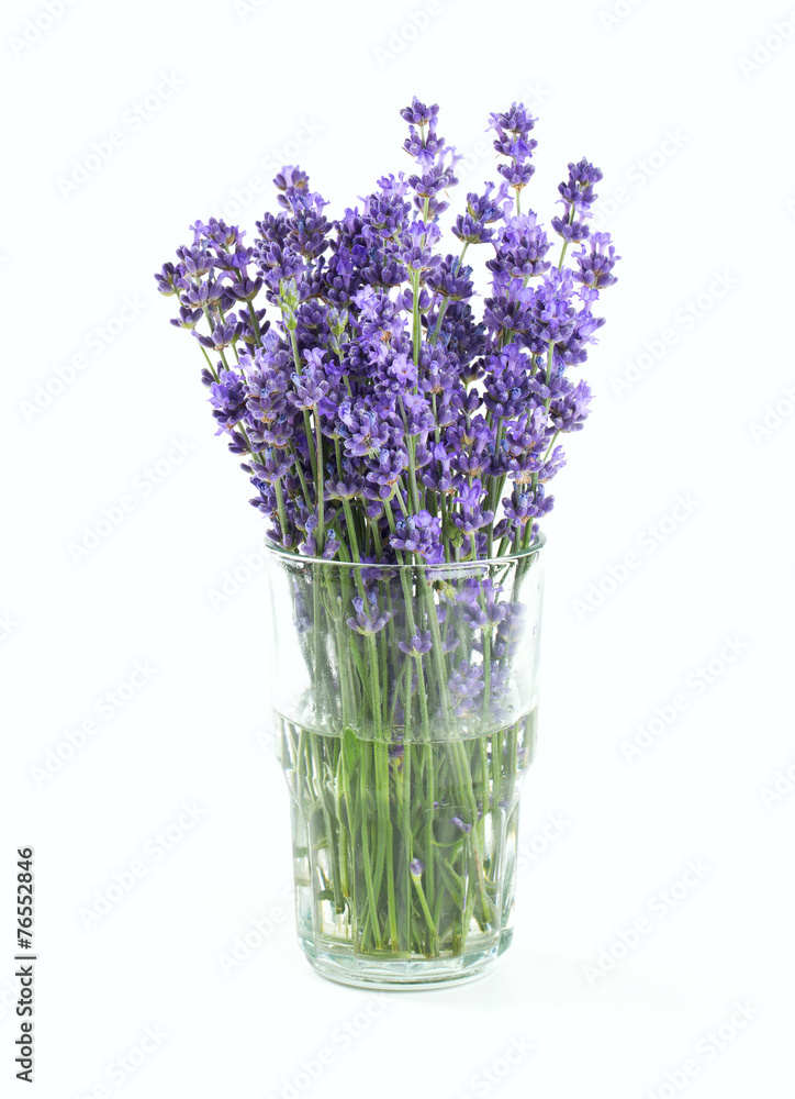 Obraz premium lavender in a glass isolated on white