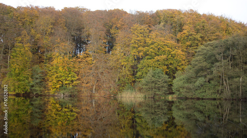 Schöner Ort auf Rügen