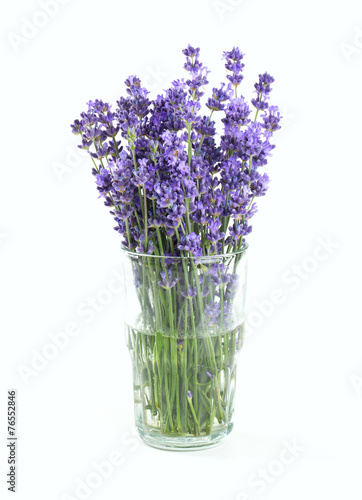 lavender in a glass isolated on white