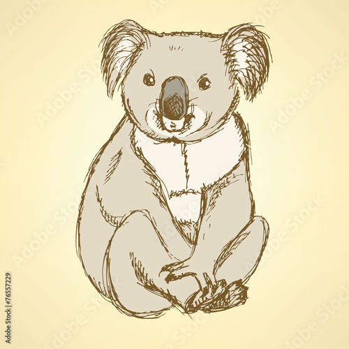 Sketch cute koala in vintage style