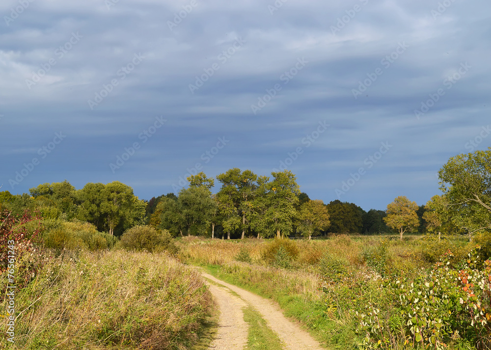 Obraz premium Пейзаж с дорогой и тучами