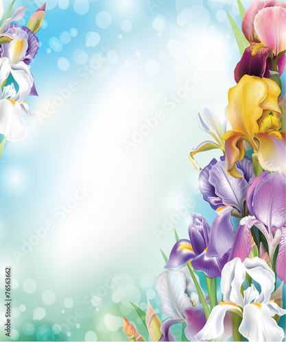 Background with Iris flowers