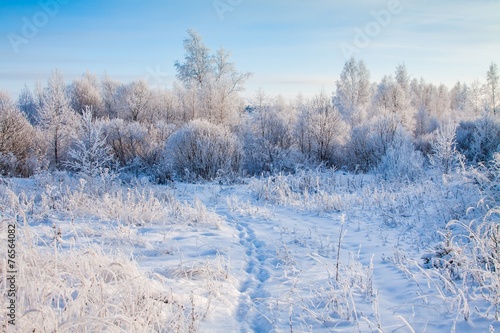 Trail on a snowy field © nblxer