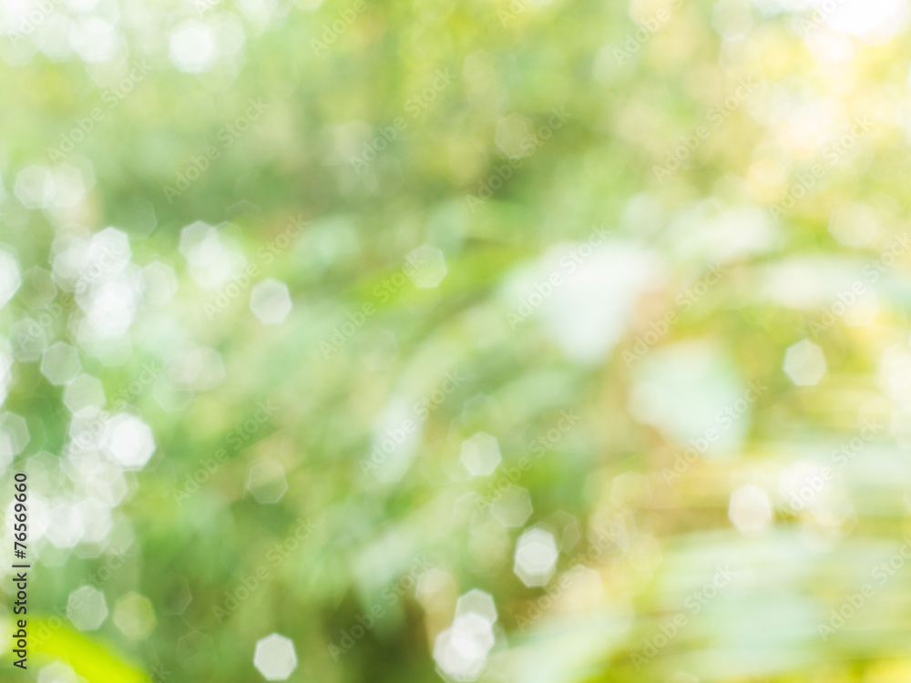 Fototapeta premium Background from natural light bokeh.