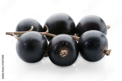 black currant on white background - studio shot fruits ready for