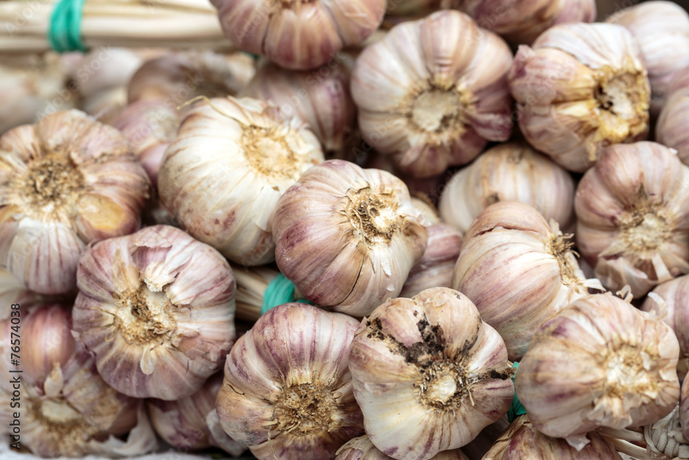 Close up of bulbs of fresh garlic Close up of bulbs of fresh garlic